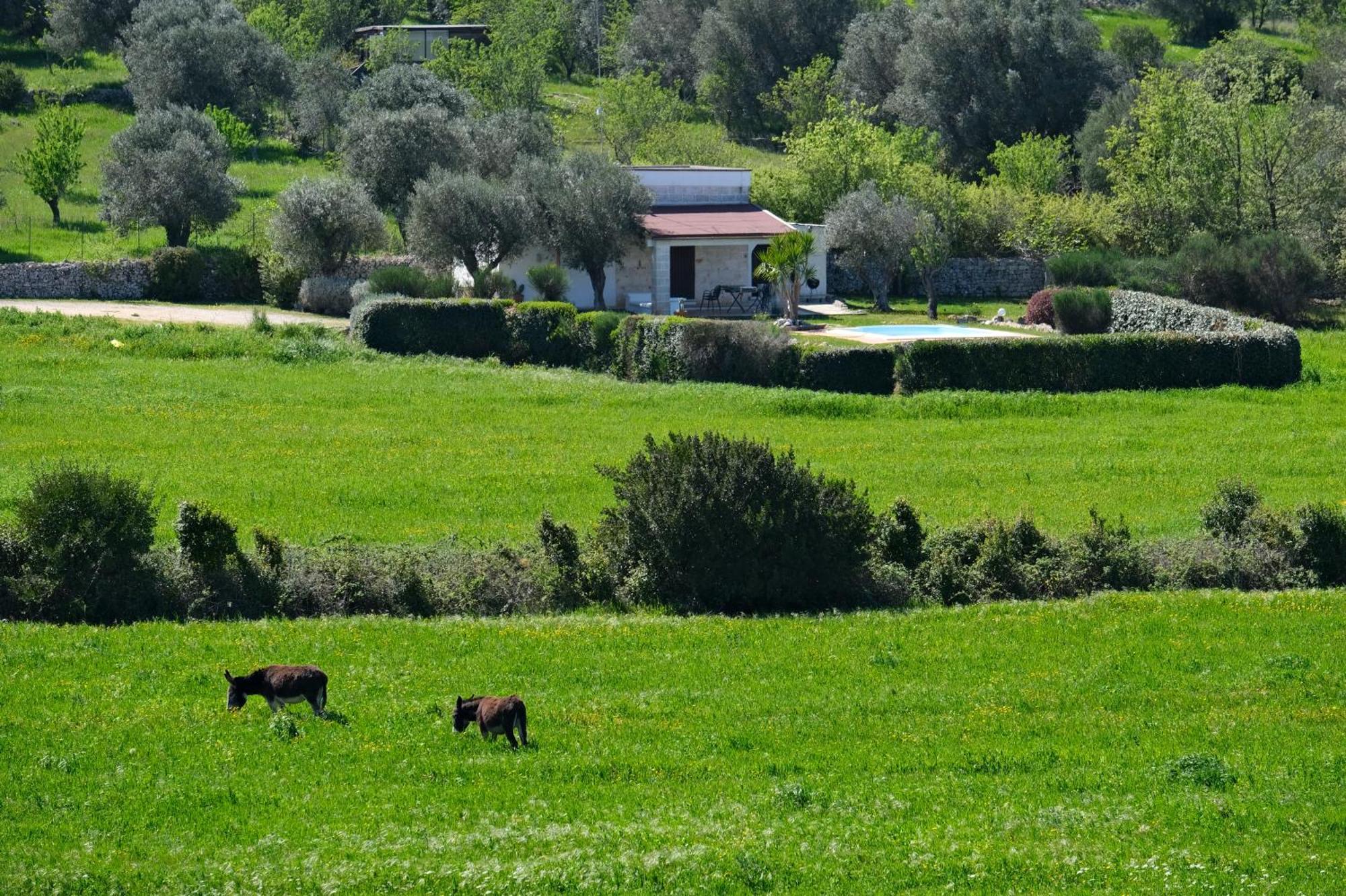 أوستوني Terra Sessana Ville E Trullo Con Piscina Privata المظهر الخارجي الصورة